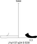 W21d0198 J1q1137-p24 S812 kF cv f239.jpg